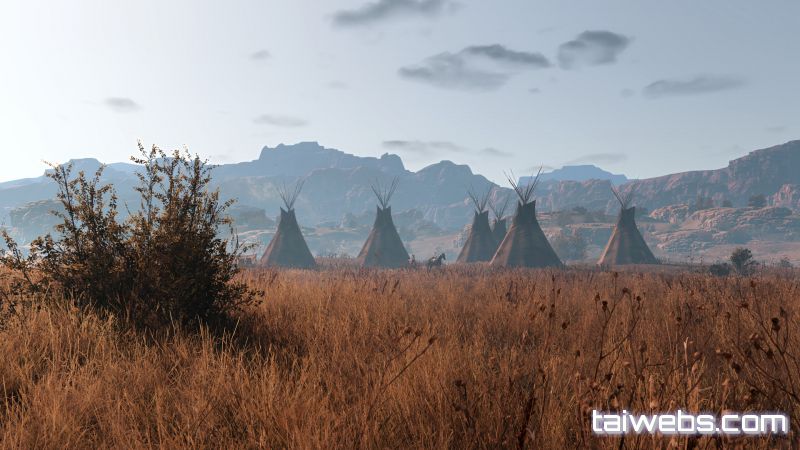 This Land Is My Land 2019