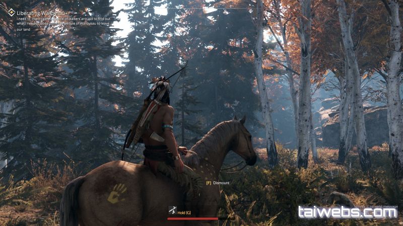 This Land Is My Land 2019