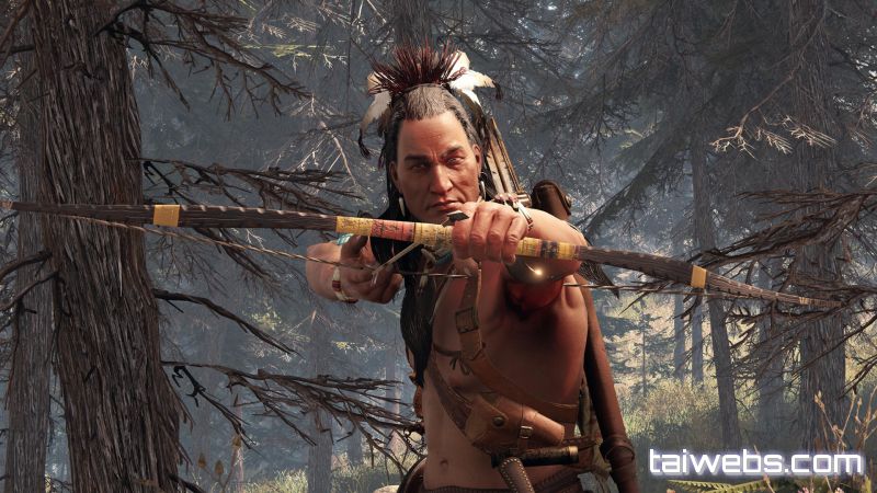 This Land Is My Land 2019